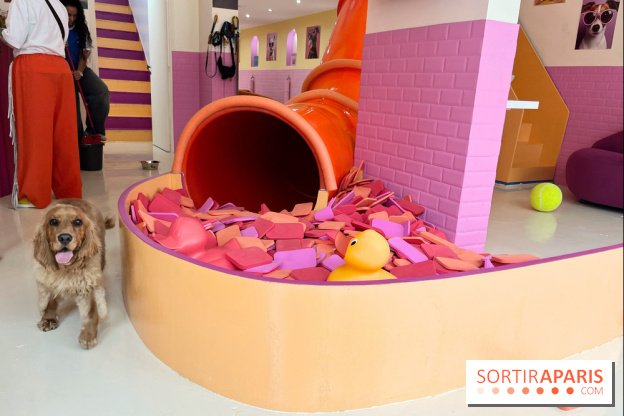 Patapwouf, le spot cani-friendly de Saint-Ouen - nos photos - B0605D0C 0E5A 47FE A9CE C6F0526C3A2F