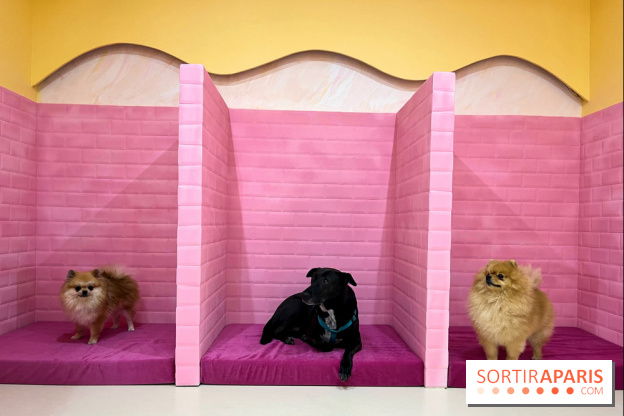 Patapwouf, le spot cani-friendly de Saint-Ouen - nos photos - EFD876A8 E455 49B4 A85E 02B255FF5AC9