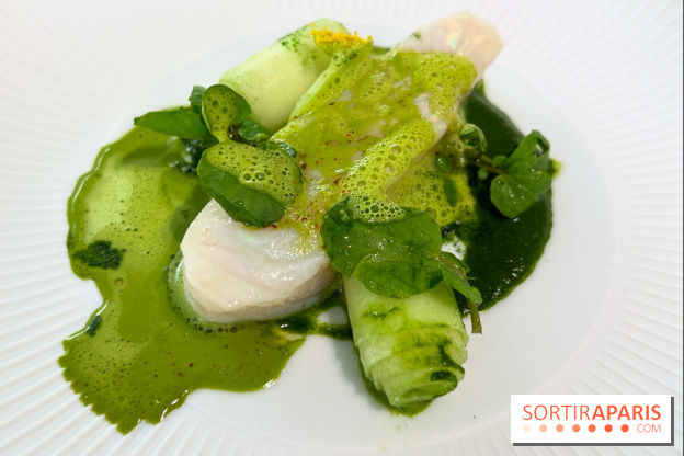 Geoélia - Lieu jaune, cresson, concombre