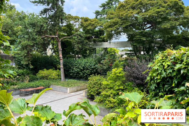 Square Eugénie Djendi - nos photos - 5557E705 C5CA 43C0 89A5 81FB24335E1E