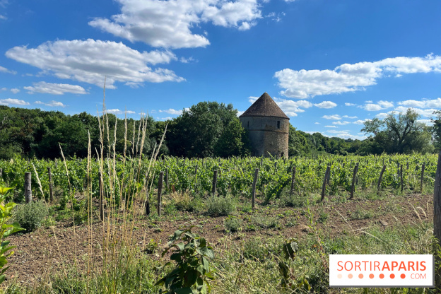 Paris-Rambouillet à pied - nos photos - 50F1D405 06A3 4B1F B8FC CD3BDB65BAC0