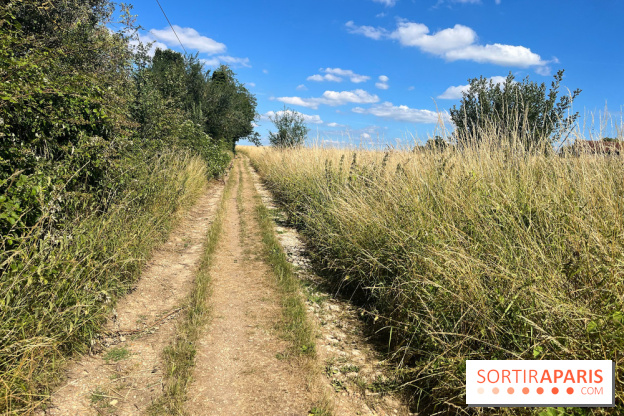Paris-Rambouillet à pied - nos photos - DF4FD716 169E 424A 938E 9B3E81624D76