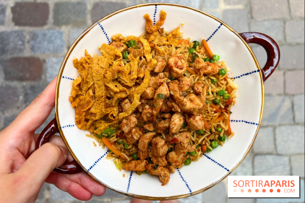 Ti Dodo Gourmand - Karay riz frit poulet