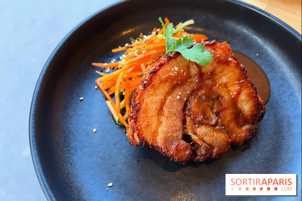 Shuzo - Chashu-Chicharron