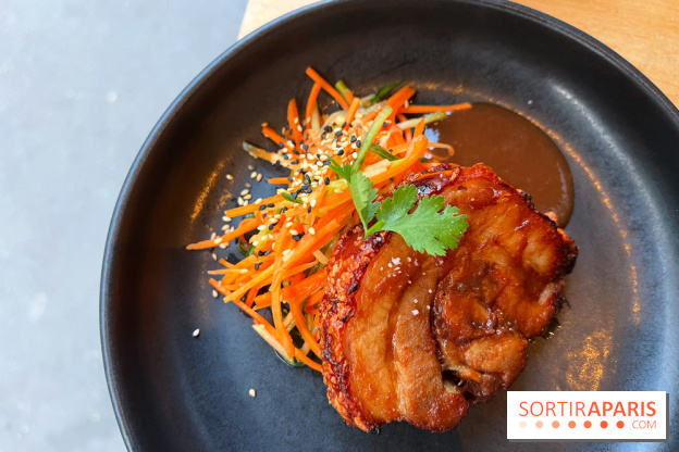 Shuzo - Chashu-Chicharron