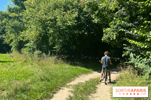 Vélo en bords de Marne - nos photos - 08AD9137 E902 47D9 921D 700C55B8FEB8