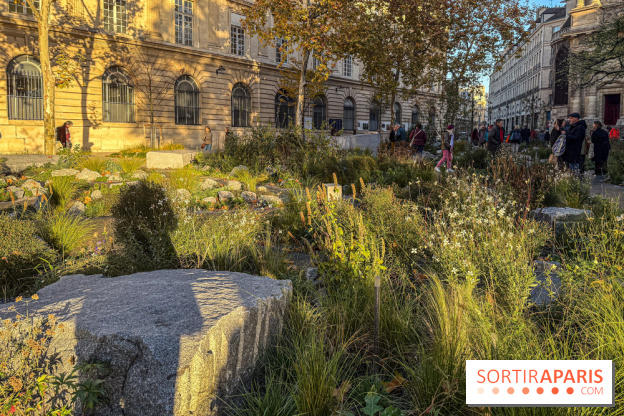 Jardin mémoriel du 13 novembre 2015 - Jardin du Souvenir - nos photos - IMG 1809