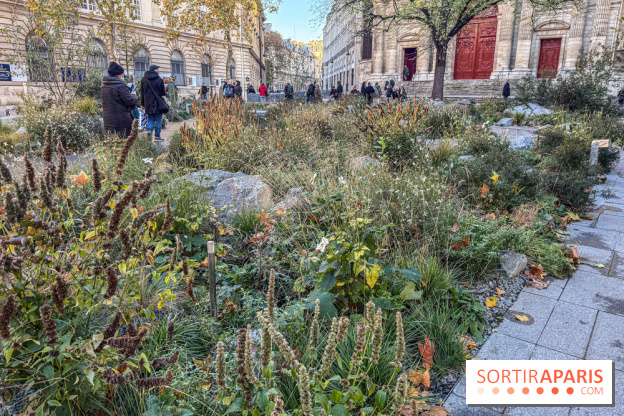 Jardin mémoriel du 13 novembre 2015 - Jardin du Souvenir - nos photos - IMG 1814