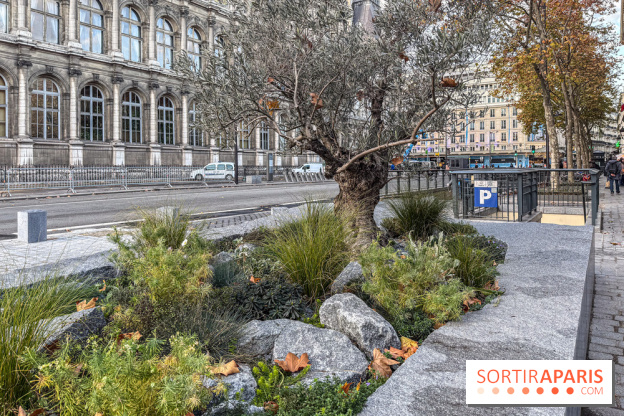 Jardin mémoriel du 13 novembre 2015 - Jardin du Souvenir - nos photos - IMG 1835