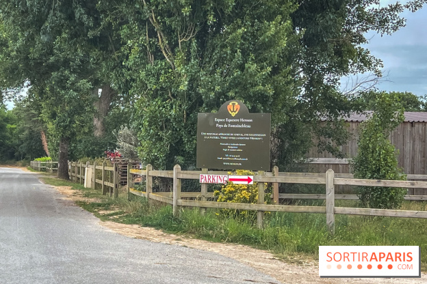 Balade en chevaux Henson en forêt de Fontainebleau  - IMG 1986