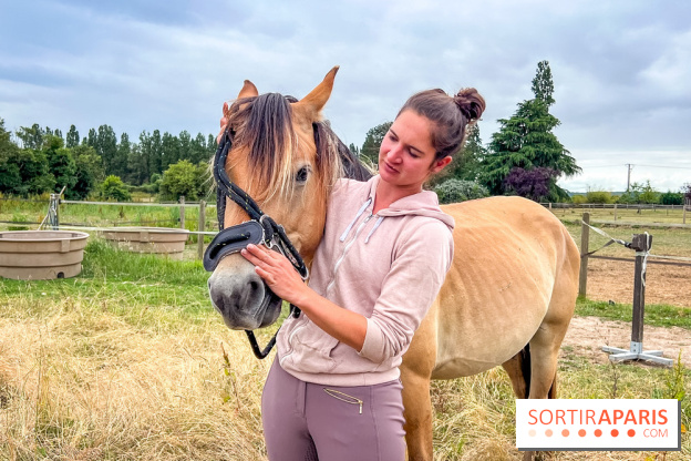 Balade en chevaux Henson en forêt de Fontainebleau  - IMG 1989