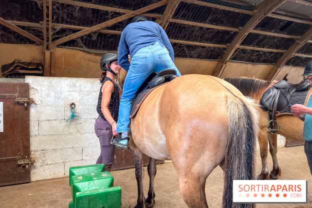 Balade en chevaux Henson en forêt de Fontainebleau