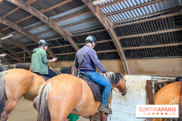 Balade en chevaux Henson en forêt de Fontainebleau