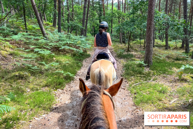Balade en chevaux Henson en forêt de Fontainebleau  - IMG 2038