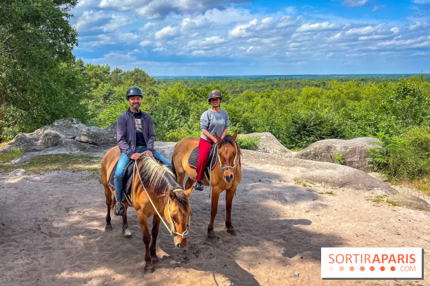 Balade en chevaux Henson en forêt de Fontainebleau  - IMG 2049