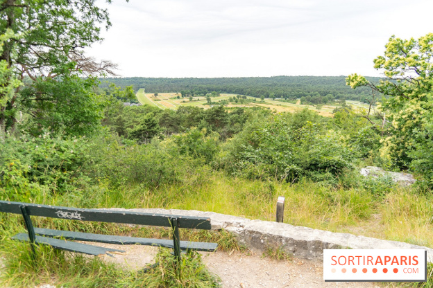 L'Hippodrome de la Solle à Fontainebleau - photos - A7C02778