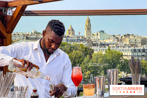 Bar Les Ombres : cocktails & tapas sur le rooftop du Musée du Quai Branly avec vue sur la tour Eiffel - IMG 4111 jpg