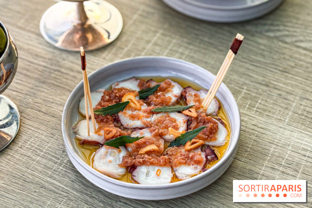 Bar Les Ombres : cocktails & tapas sur le rooftop du Musée du Quai Branly avec vue sur la tour Eiffel - IMG 8117