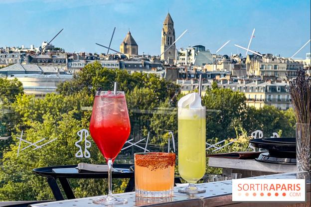 Bar Les Ombres : cocktails & tapas sur le rooftop du Musée du Quai Branly avec vue sur la tour Eiffel - IMG 4138 jpg