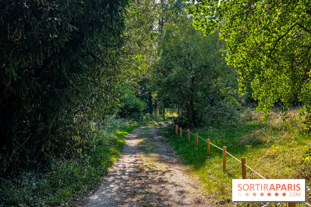 Parc de la Roseraie Châtenay - IMG 4428 jpg