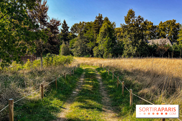 Parc de la Roseraie Châtenay - IMG 4435 jpg