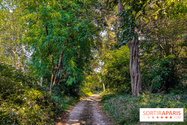 Parc de la Roseraie Châtenay - IMG 4451 jpg