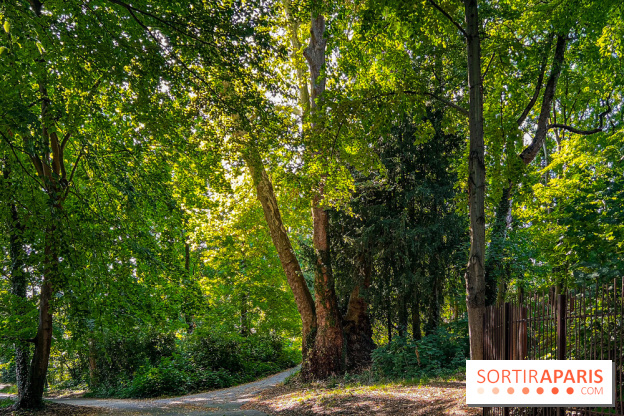 Parc de la Roseraie Châtenay - IMG 4461 jpg