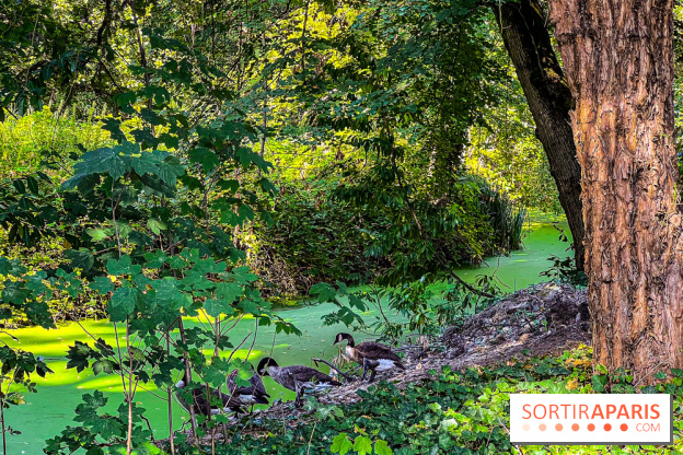Parc de la Roseraie à Chatenay Malabry (92) : 8 hectares de verdure classés Monument Historique - IMG 4469 jpg