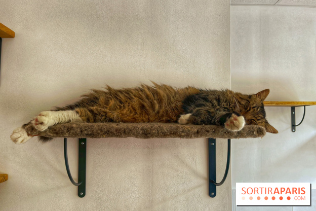 Chat-Rivari Café - IMG 4696