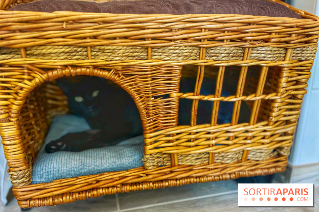 Chat-Rivari Café - IMG 4700