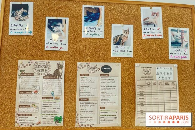 Chat-Rivari Café