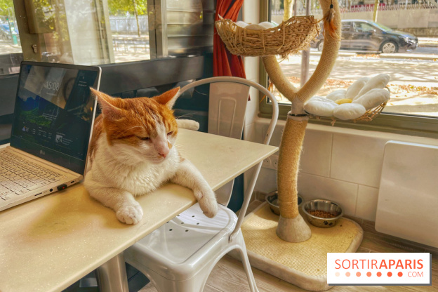 Chat-Rivari Café