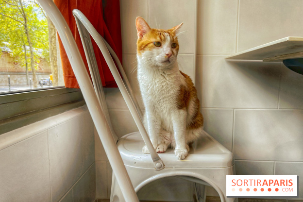 Chat-Rivari Café