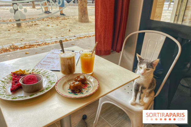 Chat-Rivari Café