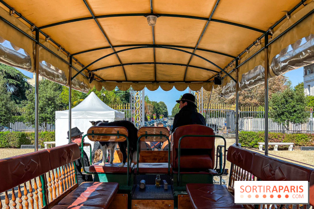 Tous en piste ! à Maisons-Laffitte (78): poneys, calèche et spectacles équestres gratuits au château - IMG 8163 jpg