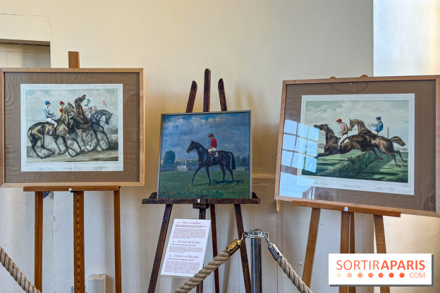 Tous en piste ! à Maisons-Laffitte (78): poneys, calèche et spectacles équestres gratuits au château - IMG 8190 jpg