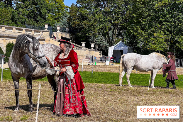 Tous en piste ! à Maisons-Laffitte (78): poneys, calèche et spectacles équestres gratuits au château