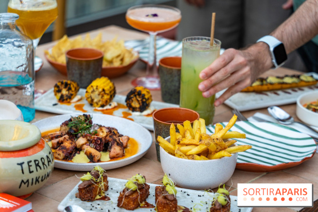 Terraza Mikuna : le rooftop du BHV Marais - A7C06919