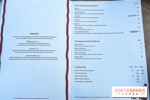 Terraza Mikuna : le rooftop du BHV Marais - IMG 3548