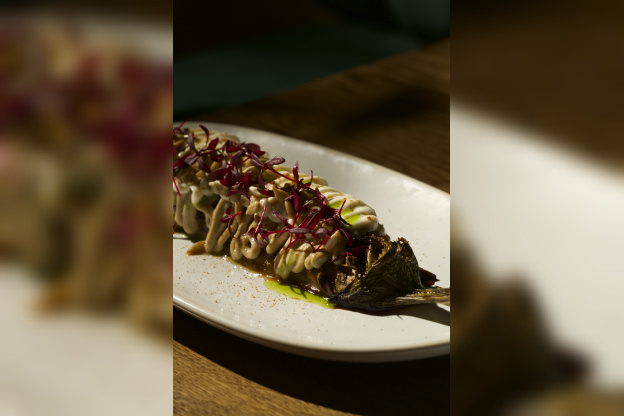 Canopé : la table gastronomique chic et végétale incontournable du 8eme arrondissement de Paris