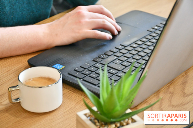 Koneko Work : le café coworking pour travailler en compagnie des chats - DSC 5243