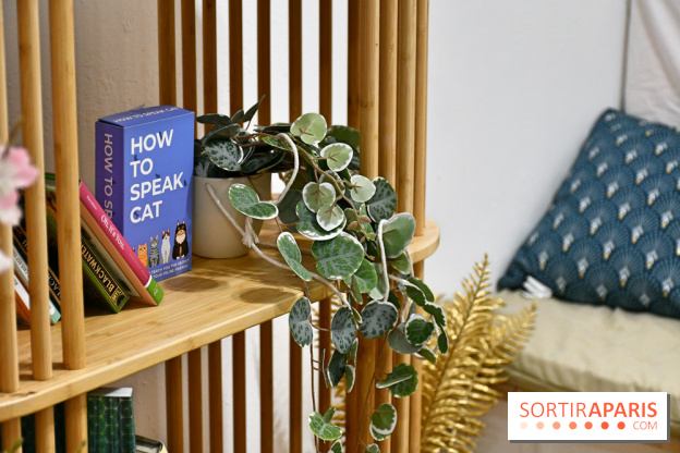 Koneko Work : le café coworking pour travailler en compagnie des chats - DSC 5244