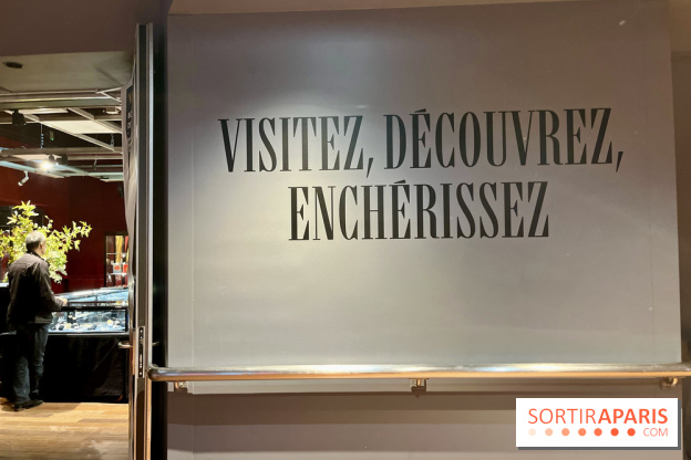 Hôtel Drouot - IMG 5171