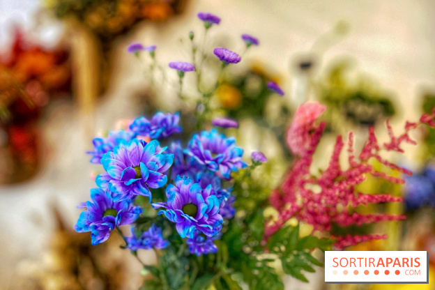 Les filles d'à côté - IMG 5229