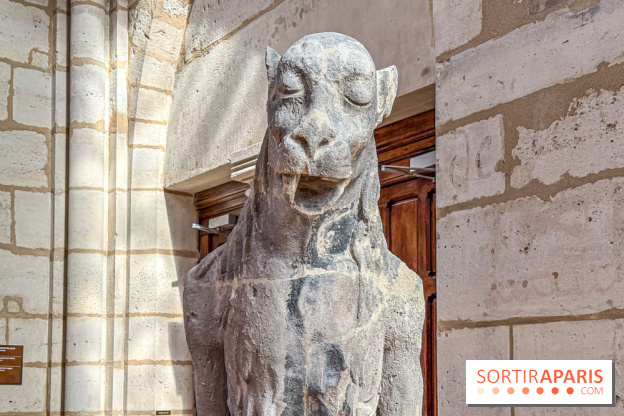 Visite des tours de Notre-Dame de Paris - IMG 7440