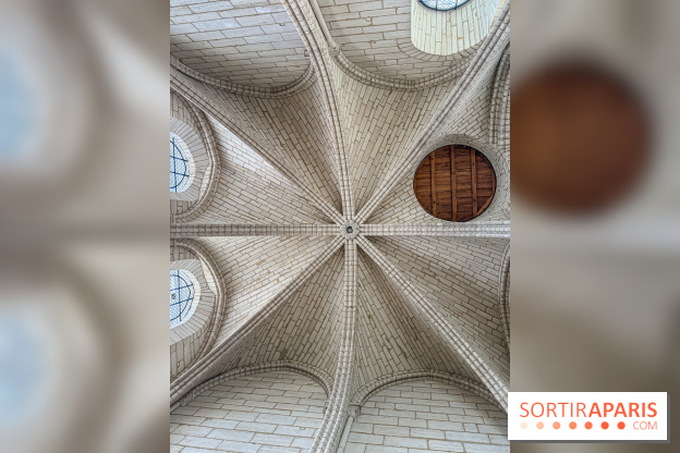 Visite des tours de Notre-Dame de Paris - IMG 7443