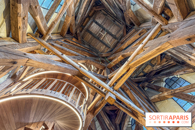 Visite des tours de Notre-Dame de Paris - IMG 7452