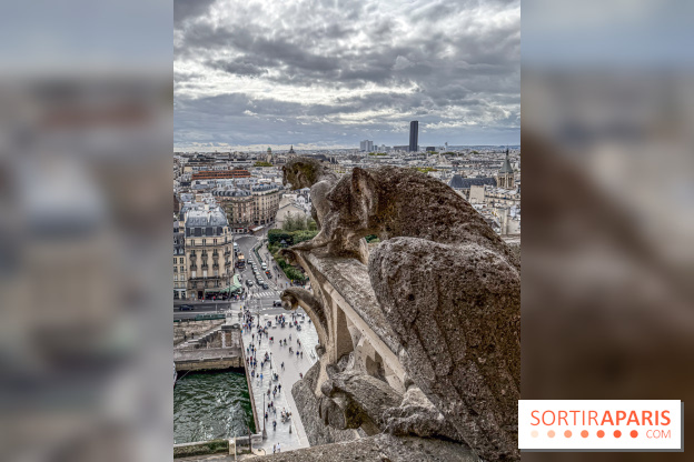 Visite des tours de Notre-Dame de Paris - IMG 7458