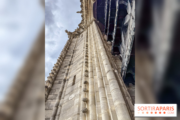 Visite des tours de Notre-Dame de Paris - IMG 7459