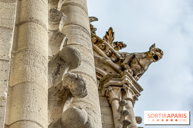 Visite des tours de Notre-Dame de Paris - IMG 7462